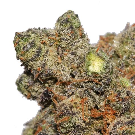 blue gotti strain